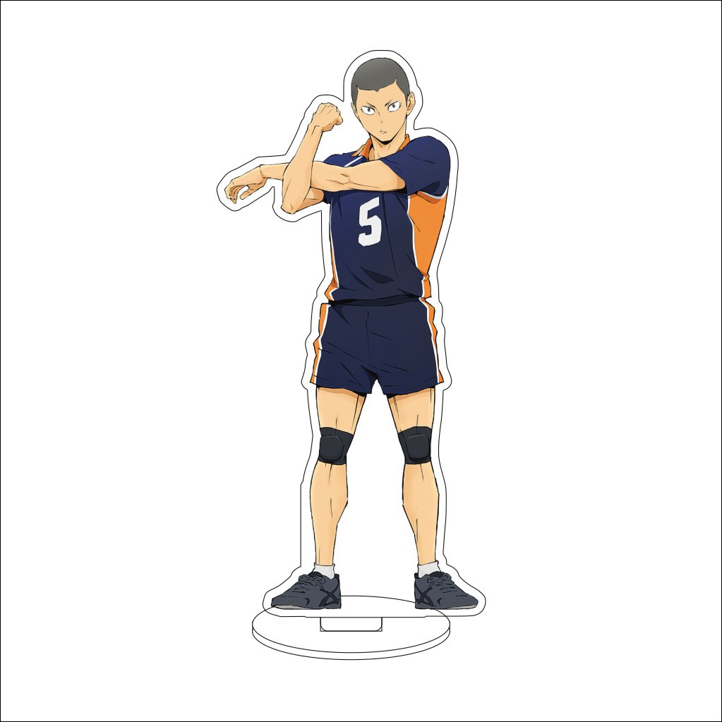 16CM 애니메이션 하이큐 츠가와라 코시 다이치 츠가와 - Anime Merchandise 리뷰 및 가격